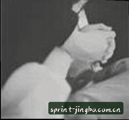 郑宇